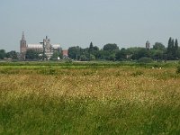 NL, Noord-Brabant, 's Hertogenbosch, Bossche broek 24, Saxifraga-Willem van Kruijsbergen
